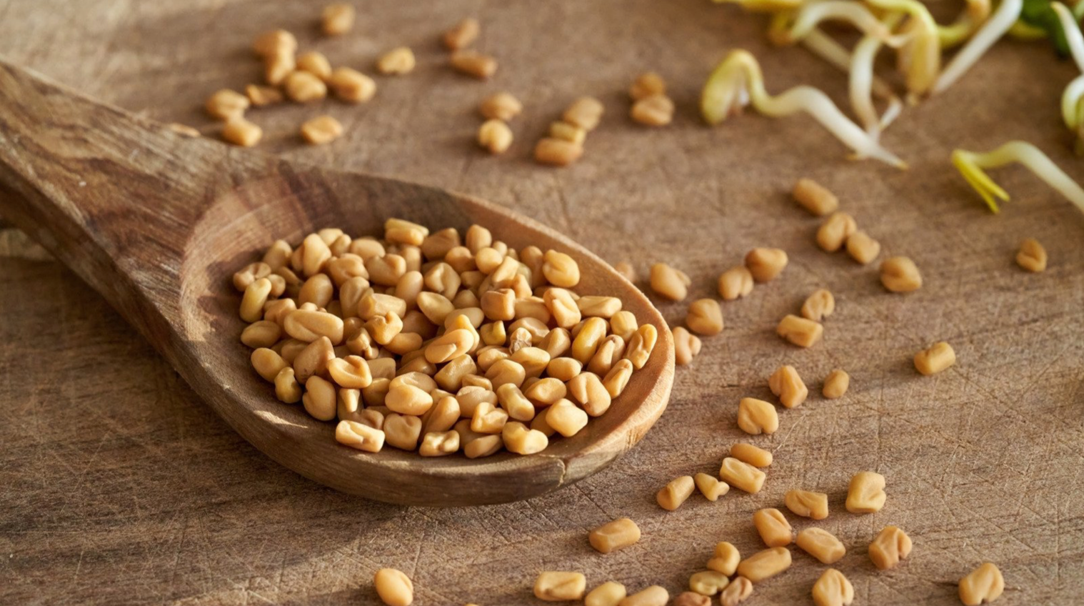 Les multiples secrets de l'huile de graines de fenugrec – L'Eveil